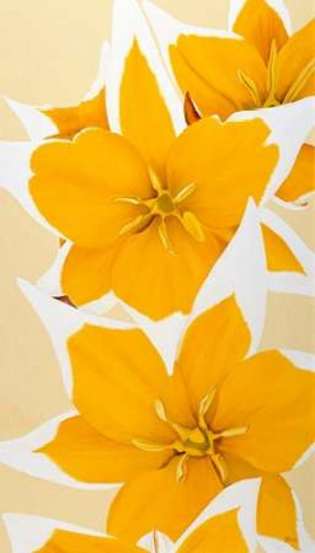 Yellow missy Canvas Art - Yvonne Poelstra-Holzhaus (24 x 36)