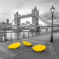 thumbnail image 1 of Yellow umbrellas  Tower bridge  London Poster Print by Assaf Frank, 1 of 1