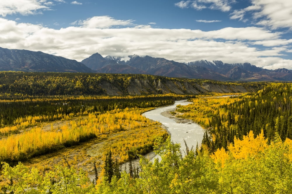 Yellows in the valley and reds in the Chugach Mountains adorn the Matanuska River and valley in autumn in Southcentral Alaska Afternoon Canvas Art - Ray Bulson Design Pics (38 x 24)