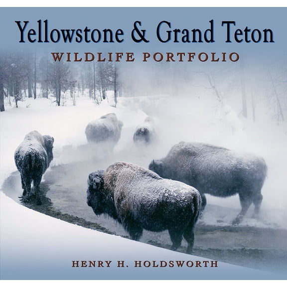 Yellowstone & Grand Teton Wildlife Portfolio (Sc)