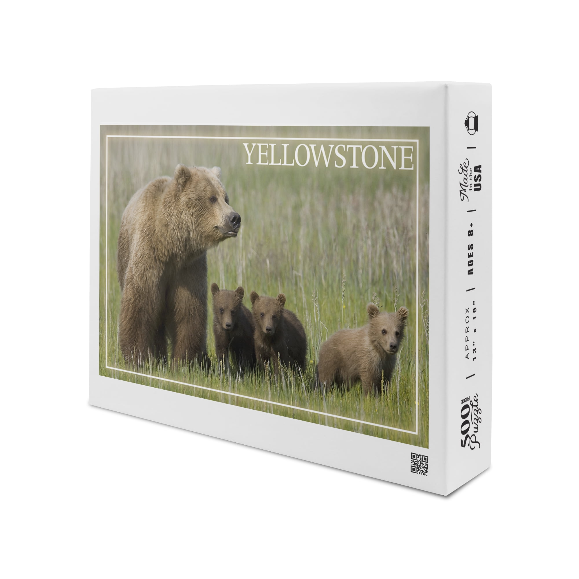 Yellowstone, Grizzly Bear and Cubs (James T. Jones) Lantern Press