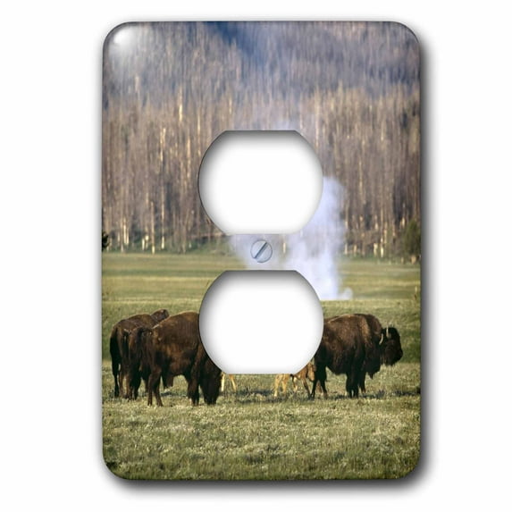 3dRose, Yellowstone NP, Bison herd - US51 CSL0005 - Charles Sleicher, 2 plug outlet cover