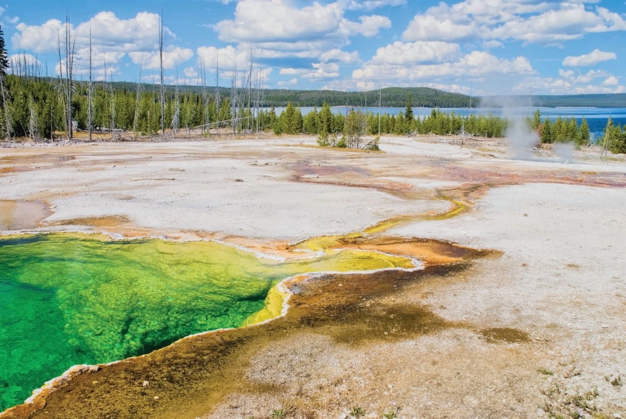Yellowstone National Park United States Of America The West Thumb Area With Yellowstone Lake In The Distance Canvas Art - Philippe Widling Design Pics (36 x 24)