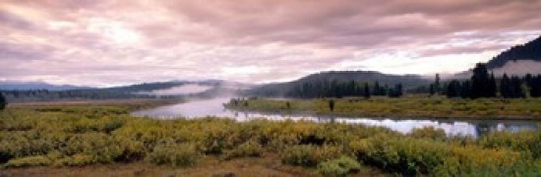 Yellowstone Park Snake River Wyoming Canvas Art - Panoramic Images (37 x 12)