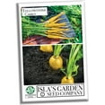 thumbnail image 1 of Yellowstone Pelleted Carrot Seeds, 100 Heirloom Seeds Per Packet, Non GMO Seeds, 1 of 5