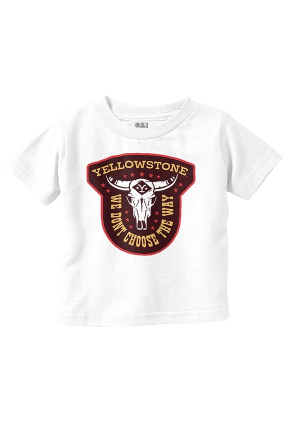 We Don’t Choose The Way Toddler Boy Girl T Shirt Infant Toddler Brisco Brands 6M