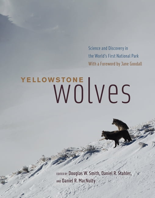 DOUGLAS W SMITH; DANIEL R STAHLER; DANIEL R MACNULTY Yellowstone Wolves : Science and Discovery in the World's First National Park (Edition 1) (Hardcover)