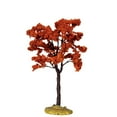 thumbnail image 1 of Yellowwood Tree - 6 Inch, 1 of 1