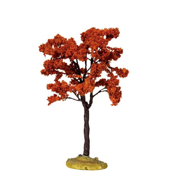 Yellowwood Tree - 6 Inch