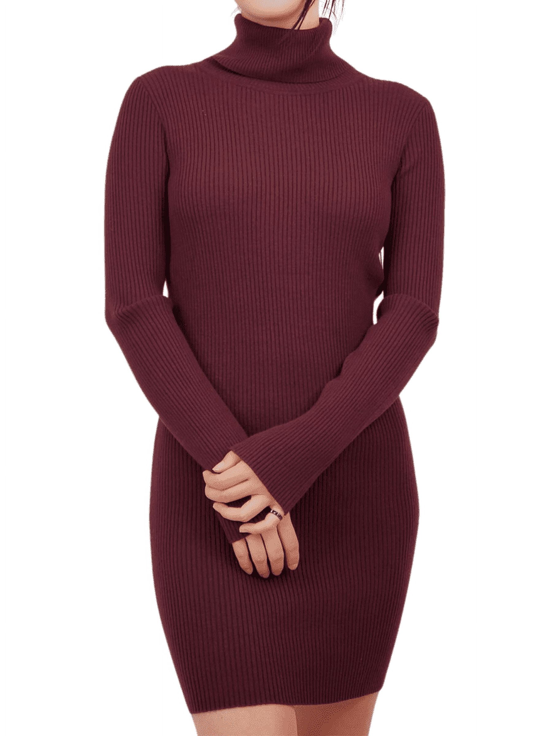 turtleneck burgundy dress Short burgundy knit dress with turtleneck collar main image 1