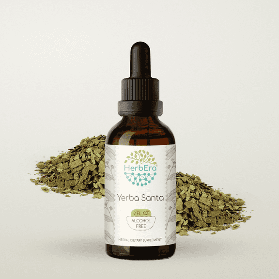 HerbEra Yerba Santa Tincture, Herbal Dietary Supplement for Respiratory Support, Yerba Santa (Eriodictyon californicum) Dried Leaf Extract, Natural, Alcohol-Free, Drops 2 oz