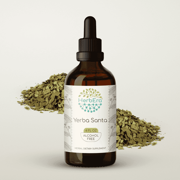 HerbEra Yerba Santa Tincture, Herbal Dietary Supplement for Respiratory Support, Yerba Santa (Eriodictyon californicum) Dried Leaf Extract, Natural, Alcohol-Free, Drops 4 oz
