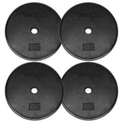 Yes4All 1'' Standard Weight Plate with Cast Iron, 80LB Set (4x20LB) for Strength Training & Weightlifting
