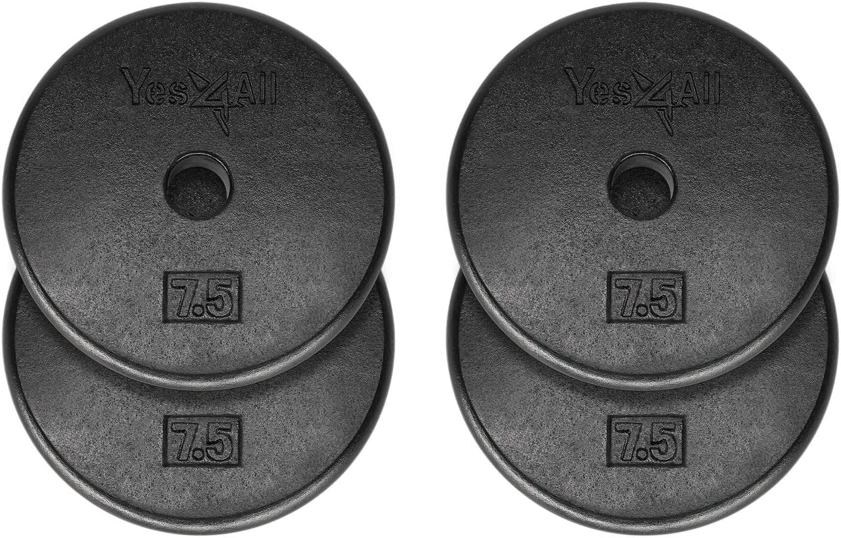 Yes4All 1 inch Cast Iron Weight Plates for Dumbbells, Standard Weight ...