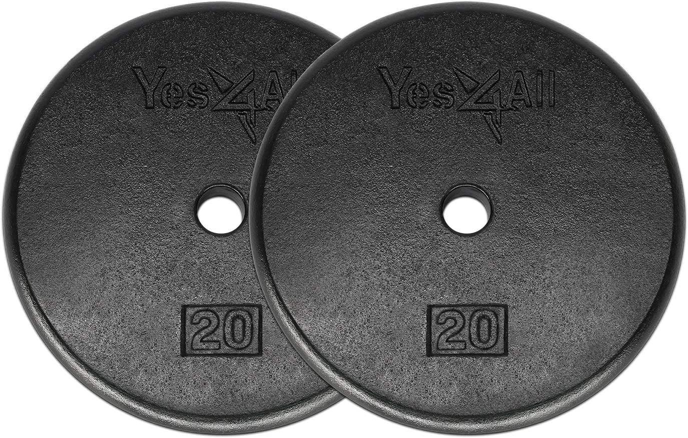 Yes4All 20 lbs Standard Weight Plates, 1 inch Cast Iron Weight Plates