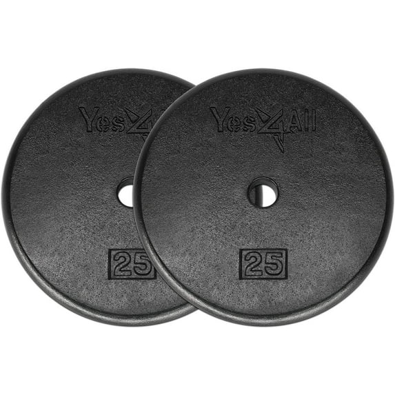 Yes4All 25 lbs Standard Weight Plates, 1 inch Cast Iron Weight Plates for Dumbbells, Pair