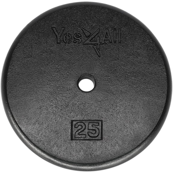Yes4All 25 lbs Standard Weight Plates, 1 inch Cast Iron Weight Plates for Dumbbells, Single