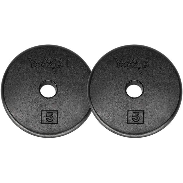 Yes4All 5 lbs Standard Weight Plates, 1 inch Cast Iron Weight Plates