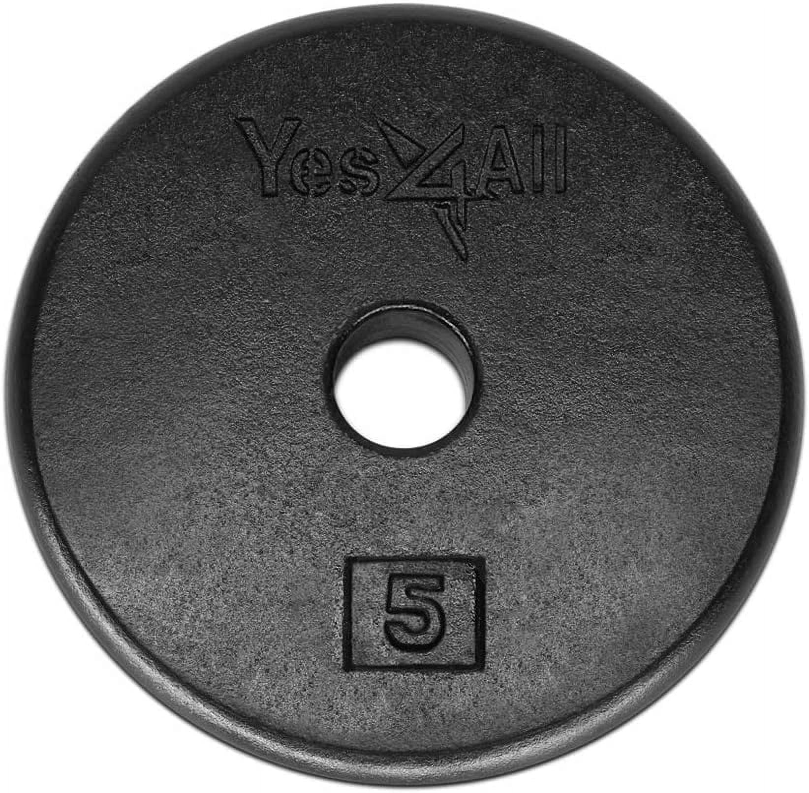 Yes4All 5 lbs Standard Weight Plates, 1 inch Cast Iron Weight Plates