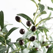 Yesbay 1Pc Artificial Olive Branch with Fruits Fake Plant Home Decor Photography Props