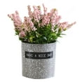 thumbnail image 1 of Yesbay 1Pc Fake Potted Flower Realistic Plastic Artificial Lavender Flower for Office Desktop Balcony Home Decor,Light Pink, 1 of 8