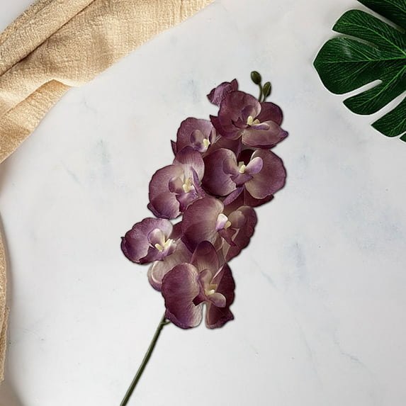 Yesbay 1Pcs Artificial Moth Orchids Realistic Fake Silk Flower Wedding Party Table Centerpiece Faux Phalaenopsis Floral Branch Decoration