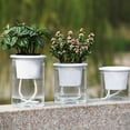 thumbnail image 1 of Yesbay 3 Pcs Clear Automatic Water Absorption Self Watering Hydroponic Flower Pot Planter 3.9 inch x4.3 inch, 1 of 8