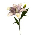 thumbnail image 1 of Yesbay Faux Lily Flowers Bulk Realistic Artificial Tiger Lily Long-lasting Fake Lily Stem for Floral Arrangement Wedding Party, 1 of 8