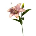 thumbnail image 1 of Yesbay Faux Lily Flowers Bulk Realistic Artificial Tiger Lily Long-lasting Fake Lily Stem for Floral Arrangement Wedding Party, 1 of 8