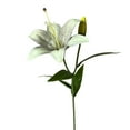 thumbnail image 1 of Yesbay Faux Lily Flowers Bulk Realistic Artificial Tiger Lily Long-lasting Fake Lily Stem for Floral Arrangement Wedding Party, 1 of 8