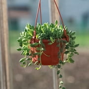 Yesbay Flower Basket Reusable Heighten Plastic Hanging Planter Decor Pot for Outdoor,5#