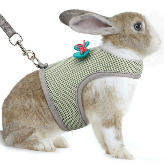 Yesbay Pet Rabbit Leash Adjustable Small Pet Harness And Leash with Bow Decoration for Rabbit Cat Ferrets