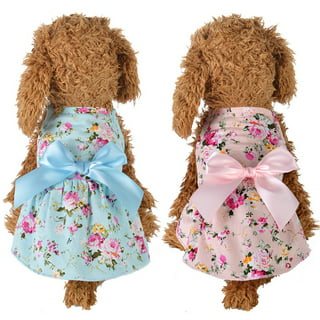 Chewy Summer Girl Designer Dog Dress | Supreme Dog Garage