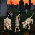 thumbnail image 1 of Yescom 2Pcs Poseable Dachshund Dog and 1 Pcs Cat Skeleton Life Size Pet Animal Halloween Yard Decor, 1 of 10