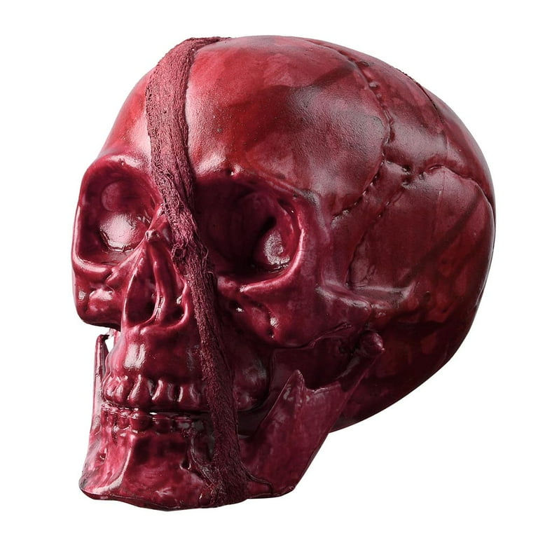 Yescom Skull Head Halloween Prop Skeleton Cranium Decoration House Party  Decor 