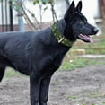 thumbnail image 1 of Yesfashion Adjustable Exquisite Pet Dog Leather Collar Firm Dog Strap for Middle-large Dog Pet Supplies, 1 of 7