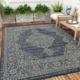 thumbnail image 1 of Yesfashion Carpets Area Rugs Washable 100% Polypropylene Turkish Outdoor Flat Weave Carpet Terrace-Persia-Winnie TRC3107 Blue 8'9"*12'2", 1 of 7