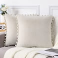 thumbnail image 1 of Yesfashion Velvet Throw Pillow Covers Set of 2, Pompom Decorative Pillowcases Solid Soft Cushion Covers, 12x20 inch, 1 of 8