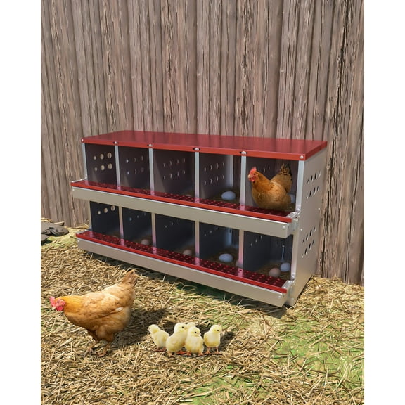 Yeshouse 10-Compartment Chicken Nesting Box - Roll Out Egg Collection & Galvanized Steel Construction