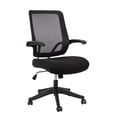 thumbnail image 1 of Yesurprise Executive Office Chair, Desk Chair with Flip Up Arms, Middle Backrest Design, Ergonomics Seat Cushion and Armrest Rolling Computer Chair for Office, 1 of 8