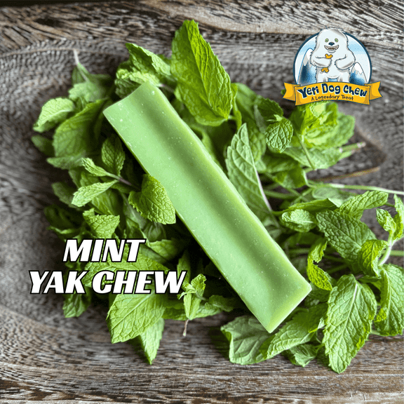 Yeti Dog Chew Yak Cheese Dog Treat for Aggressive Chewers, Long-Lasting Mint Flavor, 1 Piece, 3.5 oz