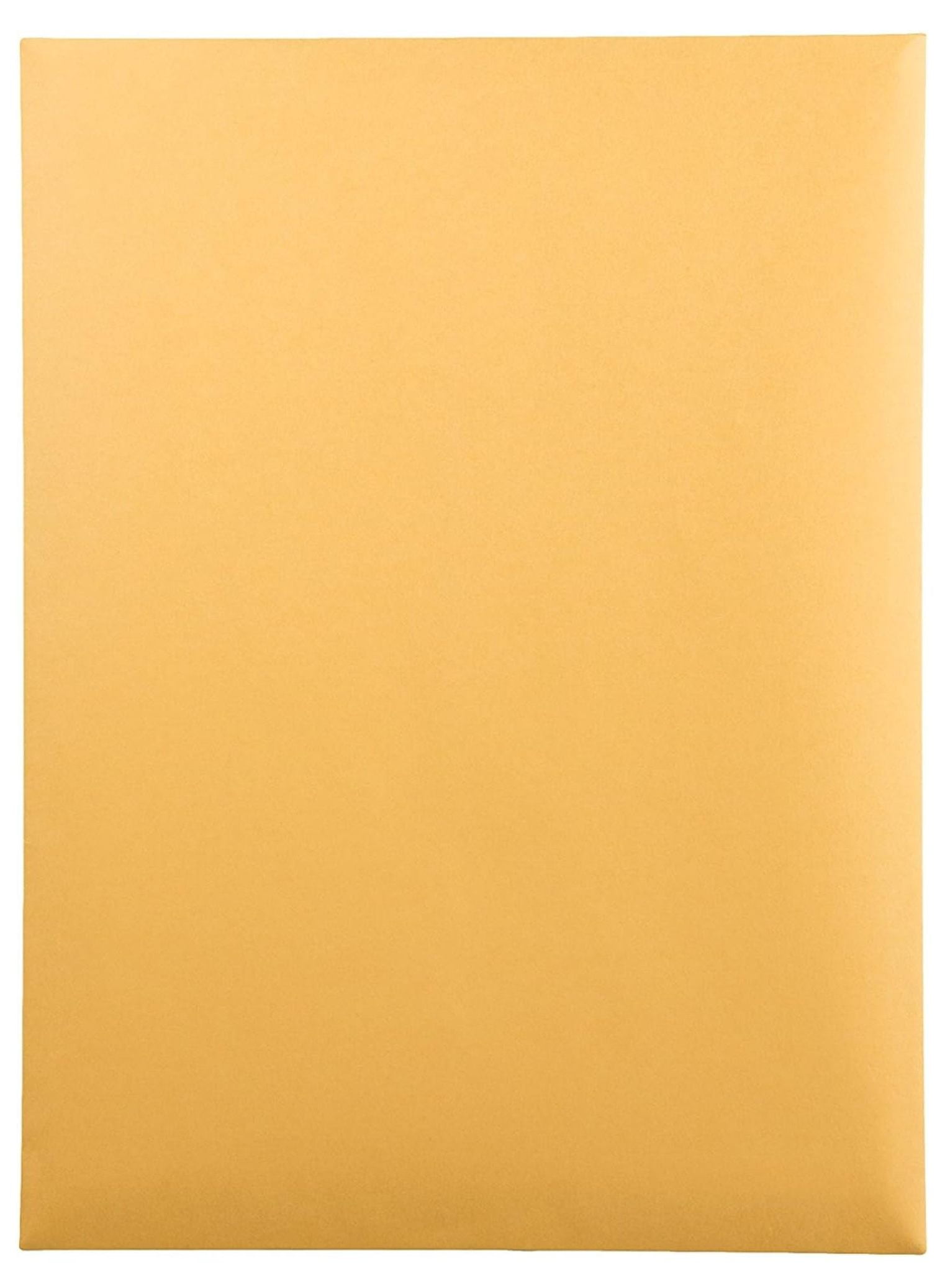 YfulYde Catalog Mailing Envelopes, 9 1/2 x 12 1/2 Envelopes, Gummed, Heavy 28 lb. Paper, For Mailing, Organizing and Storage, 250 per Box (QUA41565)