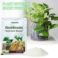 thumbnail image 1 of YgkuHd Fast Rooting Liquid Strong Powder Plant Universal Nutrient Solution Succulent Green Radish Flower Cutting Strong Rooting Powder Pcs Clearance, 1 of 9