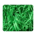 thumbnail image 1 of Yhmxh 80G Crinkle Cut Paper Shred Filler for Packing and Empty Basket Filler, Raffia Tissue Paper Grass Stuffers Gift Boxes Filler for DIY Craft Wrapping Party Valentines Day Decorations(Turquoise), 1 of 4
