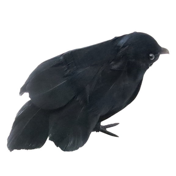 Yhmxh Black-Feathered Small Crows Halloween Decorations | Outdoor&Indoor Decor | Fake Bird, Halloween Birds, Scary Ravens, Decorative Crows, Raven | Home, Fence, Porch, Tree, Party Decoration