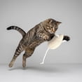 thumbnail image 1 of Yhmxh Catnip Cat Mice Toys Interactive Mouse Cat Toy for Indoor, Soft Corduroy Mouse Cat Toy, Plush Mice Toy for Kittens and Cats, Teeth Cleaning Chew Toy for Playing, Chewing, 1 of 6