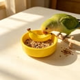 thumbnail image 1 of Yhmxh Ceramic Bird Feeding Bowl, Cute Bird Food Dish, Splatter Proof Parrot Cockatiel Feeder Dish, Heavy Base Ceramic Bird Feed Bowl for Small Medium Parrots Pet Bird Cage Daily Feeding Supplies, 1 of 6
