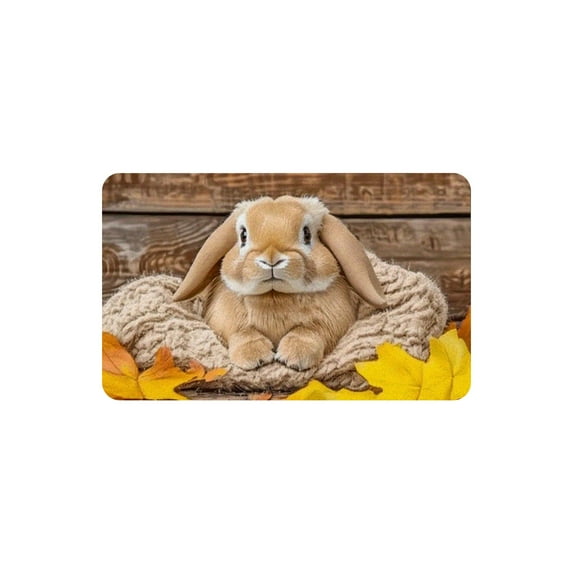 Yhmxh Easter Bunny Door Mat, Rabbit Welcome Front Door Mat Indoor Outdoor Entrance, Non-Slip Front Mat Decorative Rug for Indoor Home Farmhouse Entrance Porch Easter Day Party Decor 24x16in
