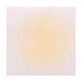 thumbnail image 1 of Yhmxh Gradient Sticky Notes, 3x3 inchSingle Aesthetic Sticky Note Pad, Self-Stick Pads Sticky Note, 50 Sheets Pastel Self-Stick Memo Pad Recyclable Sticky Notes Easy to Post for Home, Office, 1 of 6