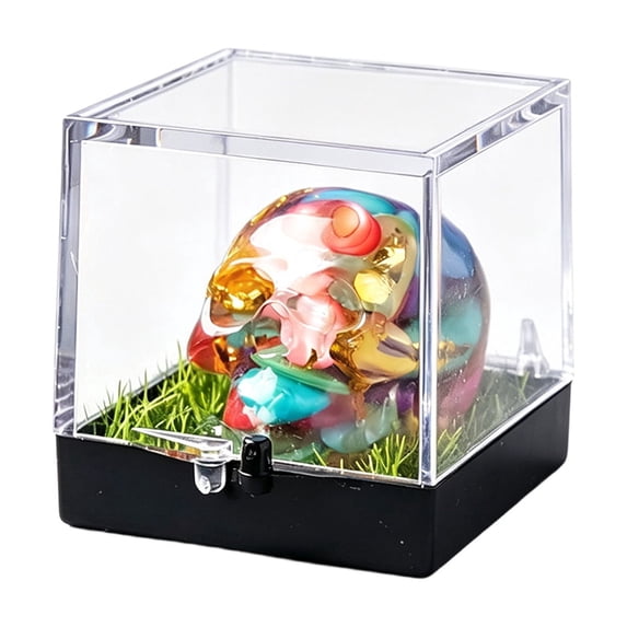 Yhmxh Halloween Decorations Mini Resin Skull Figurine with Clear Box, Gothic Small Skull Statue Desktop Ornament, Spooky Halloween Tabletop Decorations, Halloween Gift for Home Shelf Desk Decor